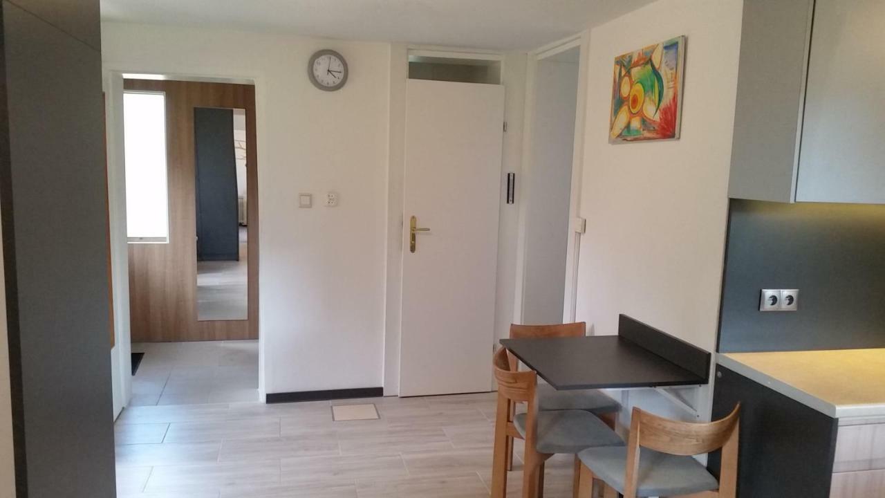 Domek Pod Brzozami Świnna Exterior foto