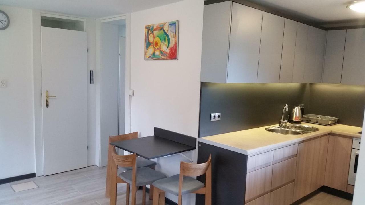 Domek Pod Brzozami Świnna Exterior foto